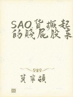 SAO货撅起你的贱屁股来