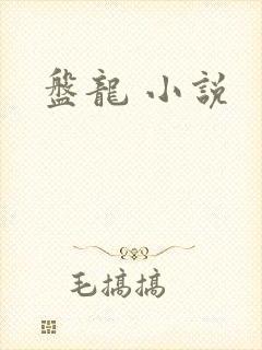 盘龙 小说