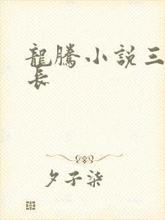 龙腾小说三宝局长
