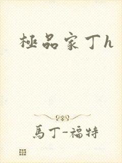 极品家丁h