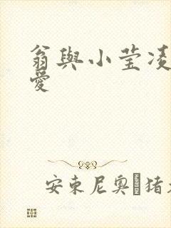 翁与小莹凌晨欢爱