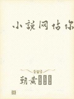 小说网站你懂的