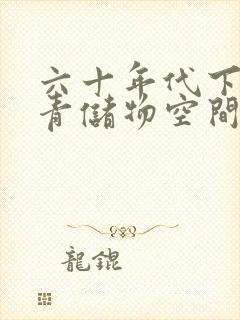 六十年代下乡知青储物空间