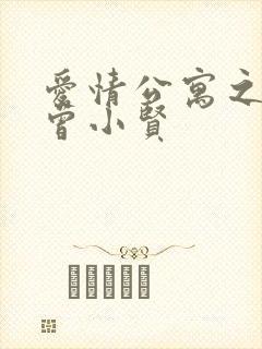 爱情公寓之极品曾小贤