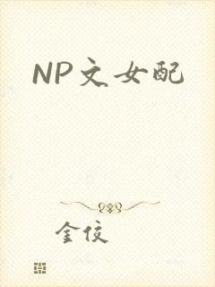 NP文女配
