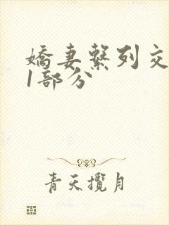 娇妻系列交换11部分