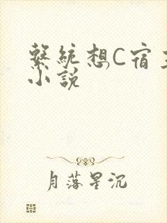 系统想C宿主的小说