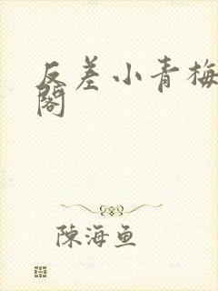 反差小青梅笔趣阁