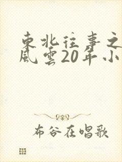 东北往事之黑道风云20年小说