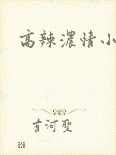 高辣浓情小说