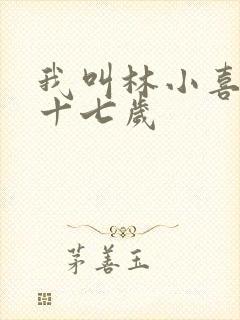 我叫林小喜今年十七岁