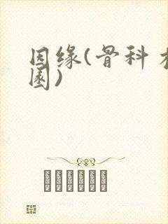 因缘(骨科 校园)