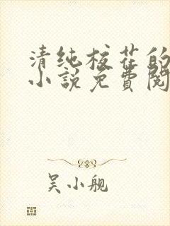 清纯校花的秘密小说免费阅读