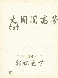 大团圆高芳小说txt