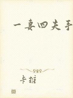 一妻四夫手记