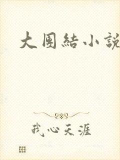大团结小说全文