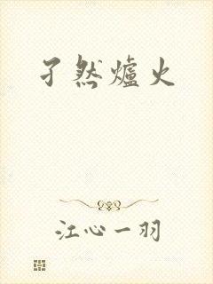 孑然炉火