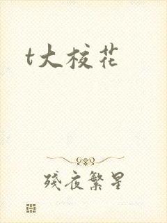 t大校花
