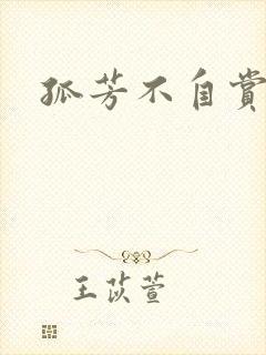 孤芳不自赏小说