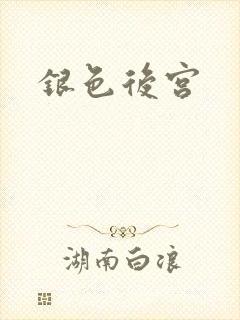 银色后宫