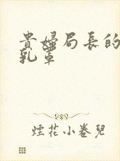 贵妇局长的蕾丝乳罩