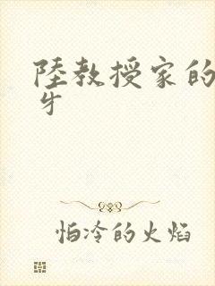 陆教授家的小月牙