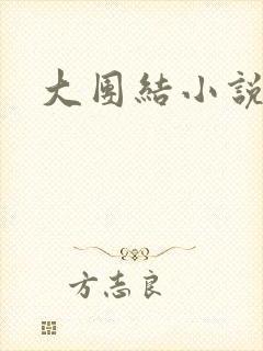 大团结小说下载