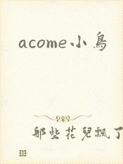 acome小鸟