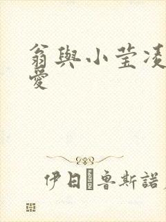 翁与小莹凌晨欢爱