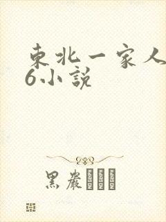 东北一家人1一6小说
