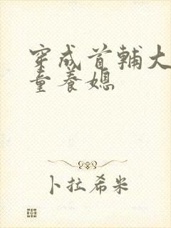 穿成首辅大人的童养媳