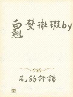 白璧微瑕by连翘