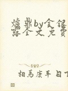 炉鼎by金银花露全文免费阅读笔趣阁