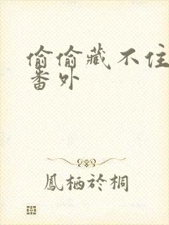 偷偷藏不住新婚番外