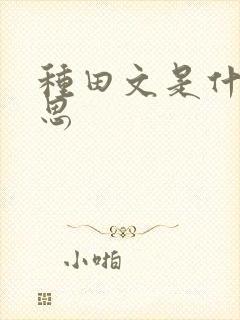 种田文是什么意思