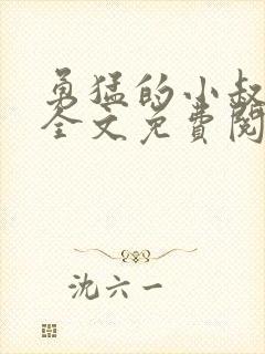 勇猛的小叔小说全文免费阅读