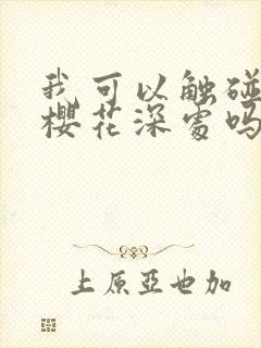 我可以触碰你的樱花深处吗