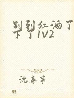 别到红酒了装不下了1V2