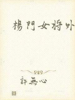 杨门女将外传