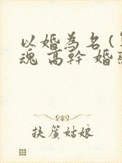 以婚为名 (军魂 高干 婚恋)