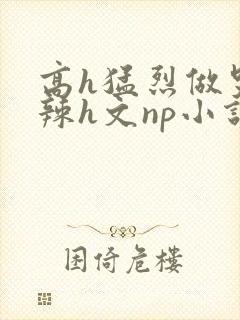 高h猛烈做哭高辣h文np小说