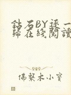 钻石BY逐一而归在线阅读