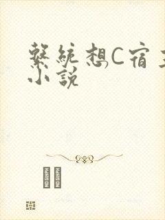 系统想C宿主的小说