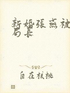 新婚张燕被两个局长