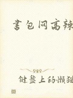 书包网高辣文