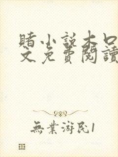 赌小说木口银全文免费阅读笔趣阁