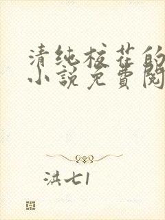 清纯校花的秘密小说免费阅读