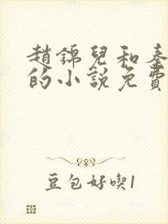 赵锦儿和秦慕修的小说免费阅读全文