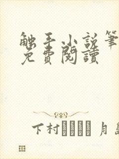 触手小说笔趣阁免费阅读