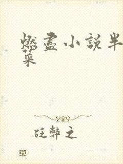 燃尽小说半截白菜